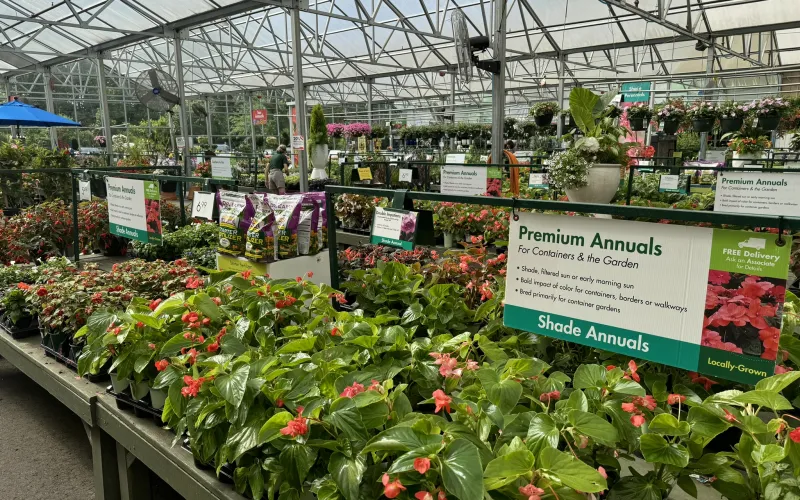 a large greenhouse with plants and flowers