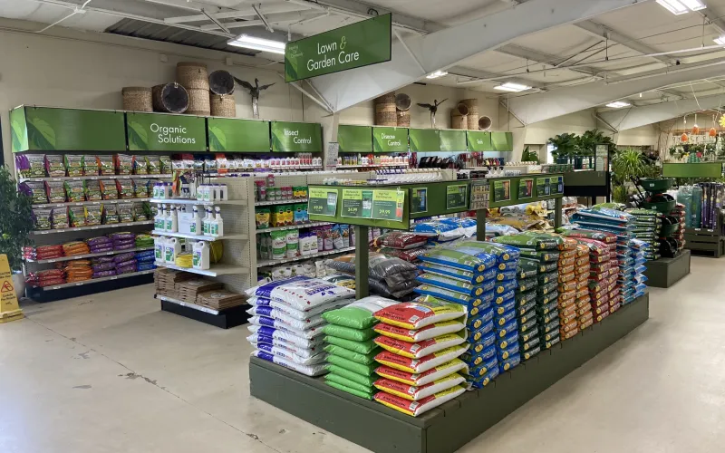 a store with shelves of items