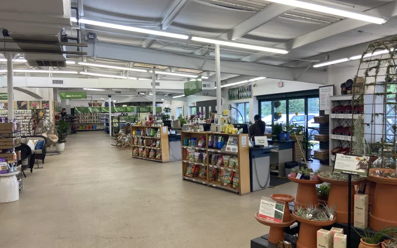 a store with shelves of items