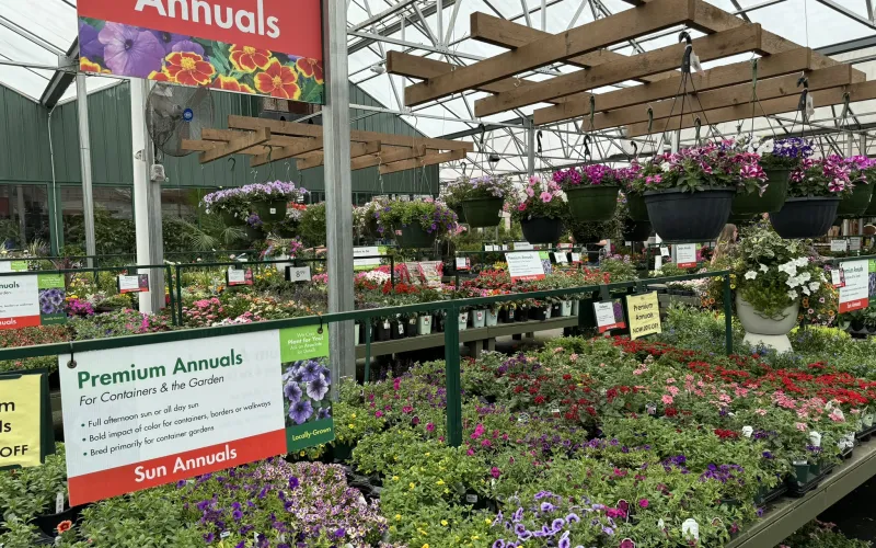 a flower shop with many flowers