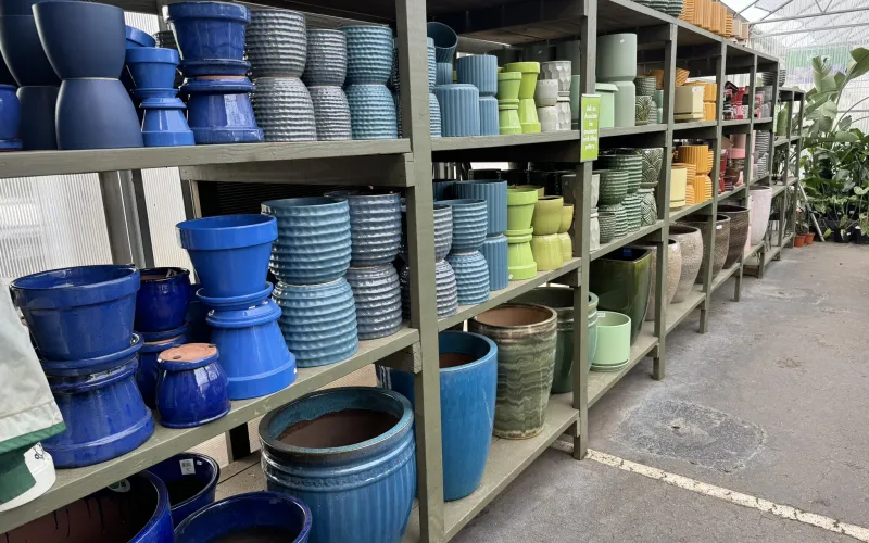 a room with many buckets