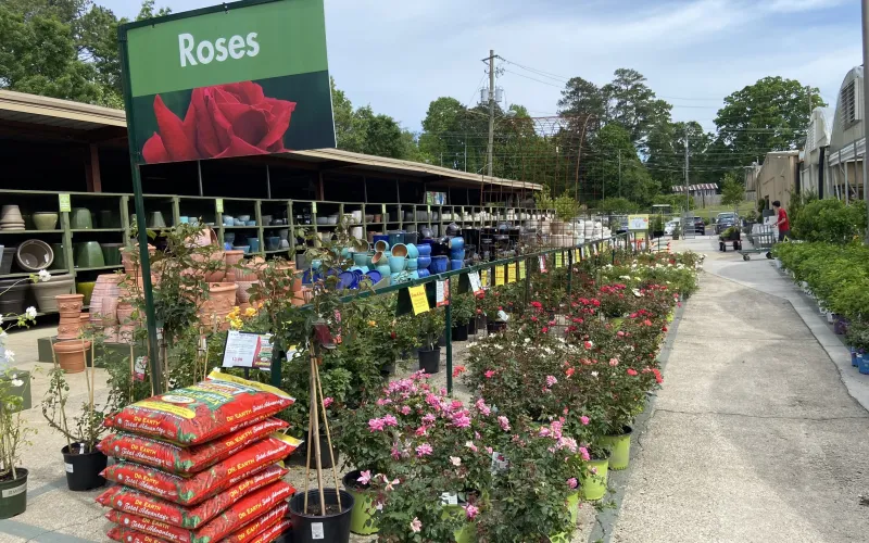 a flower shop with flowers