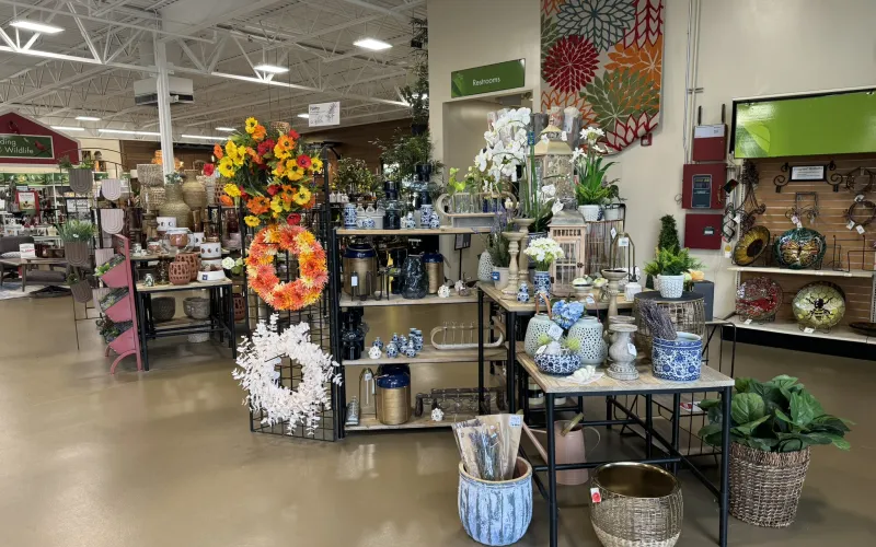 a store with flowers