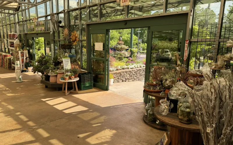 a large indoor garden