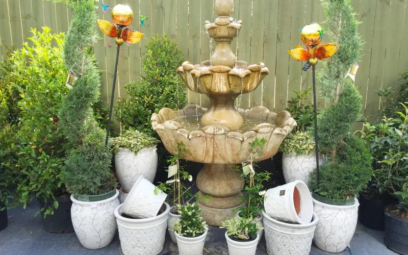 a close up of a flower pot