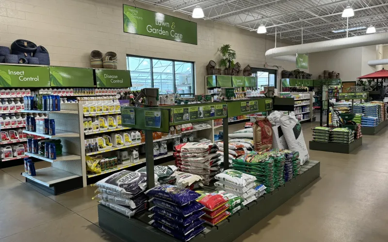 a store with shelves of items