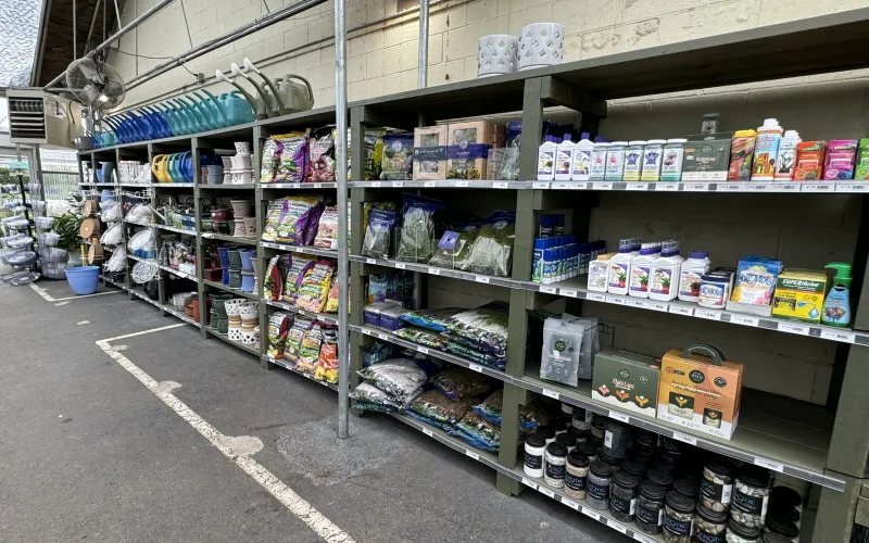 a store with shelves of products
