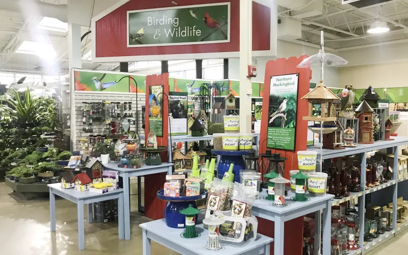 a group of people performing on a counter in a store