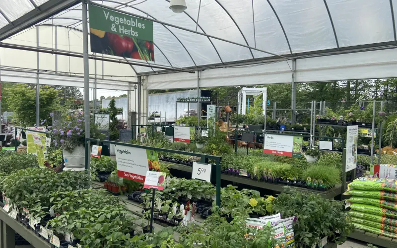 a large indoor market