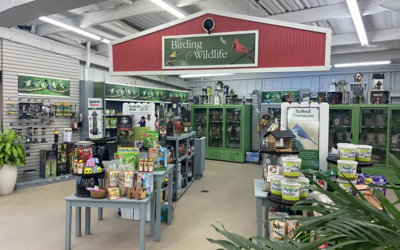 a store with a table and plants
