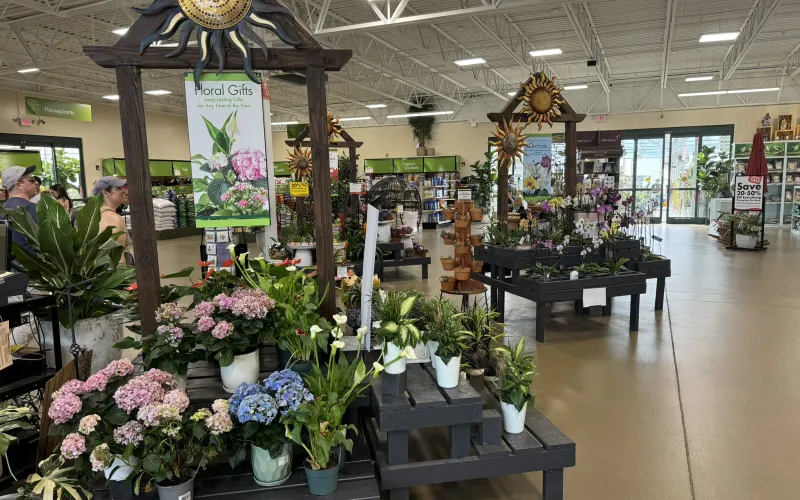a flower shop with flowers