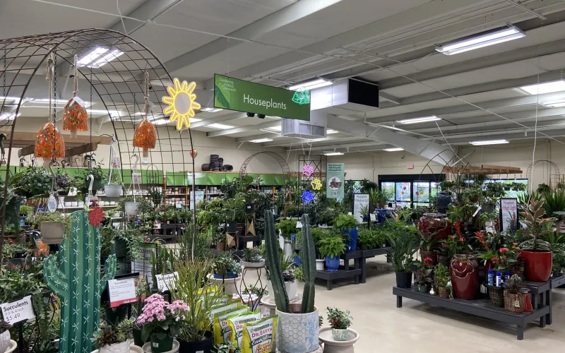 a store with many plants and flowers