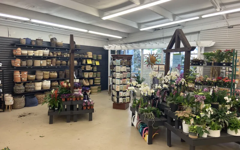 a store with shelves of plants