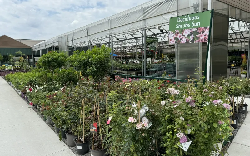 a greenhouse with many plants and flowers