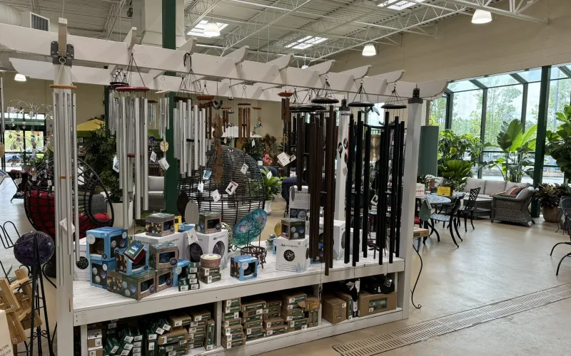 a store with a lot of items