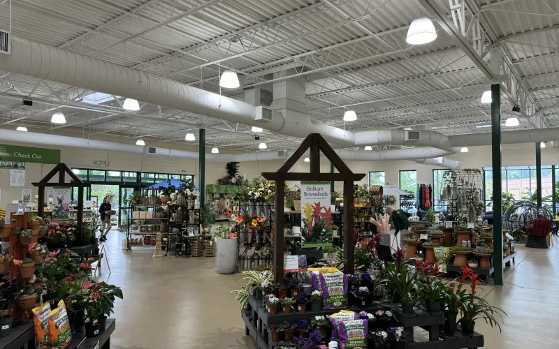 a large room with many plants and flowers in it
