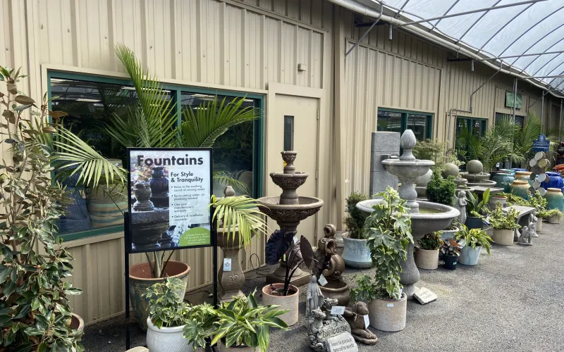 a building with potted plants