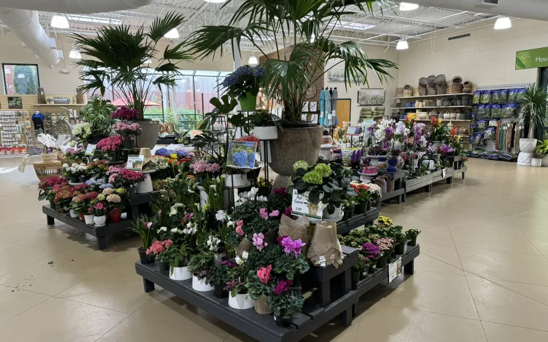 a large room with many plants in it