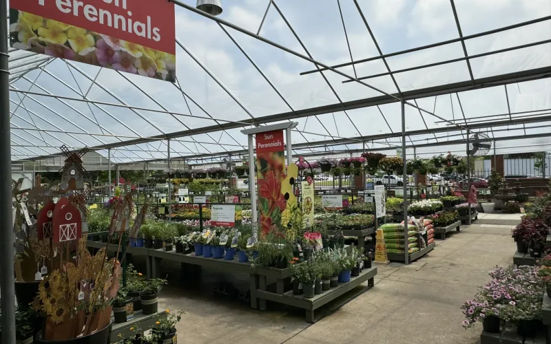 a market with many flowers