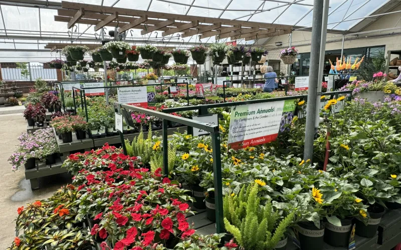 a large greenhouse with many plants