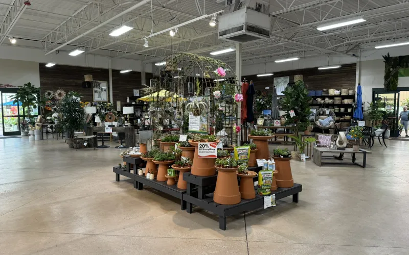 a large room with many potted plants in it