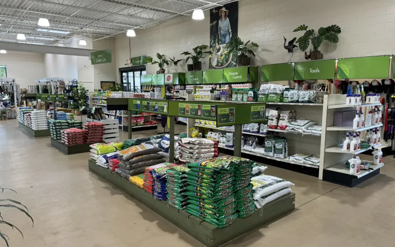 a store with shelves of items