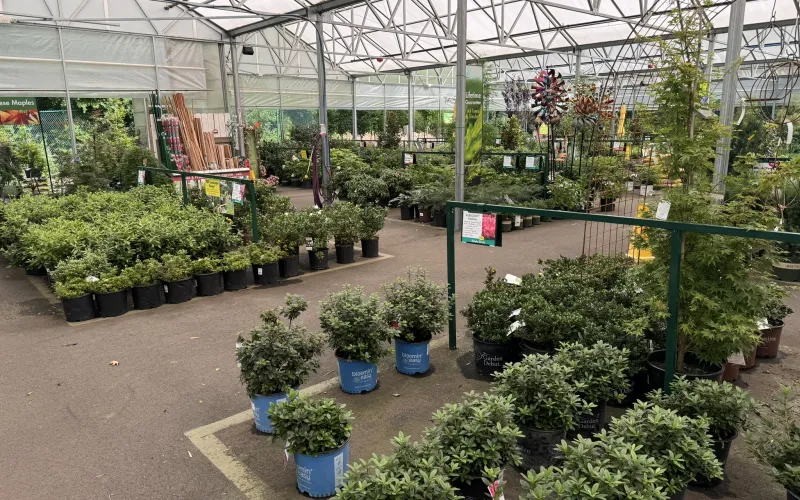 a greenhouse with many plants