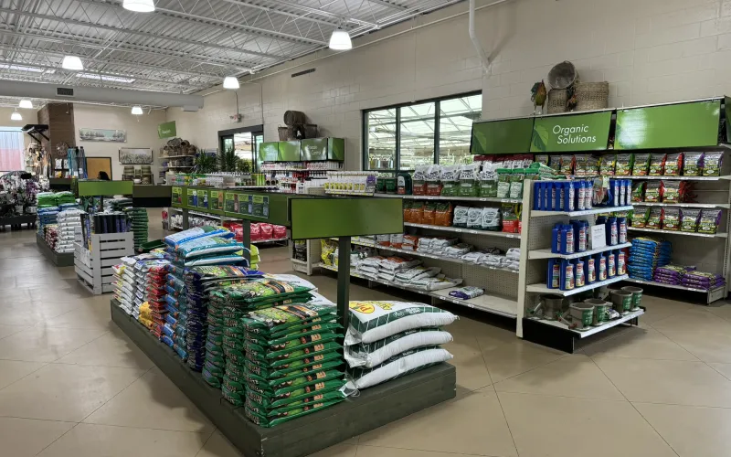 a store with shelves of products