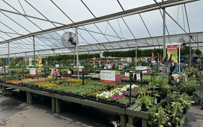 a greenhouse with plants and flowers