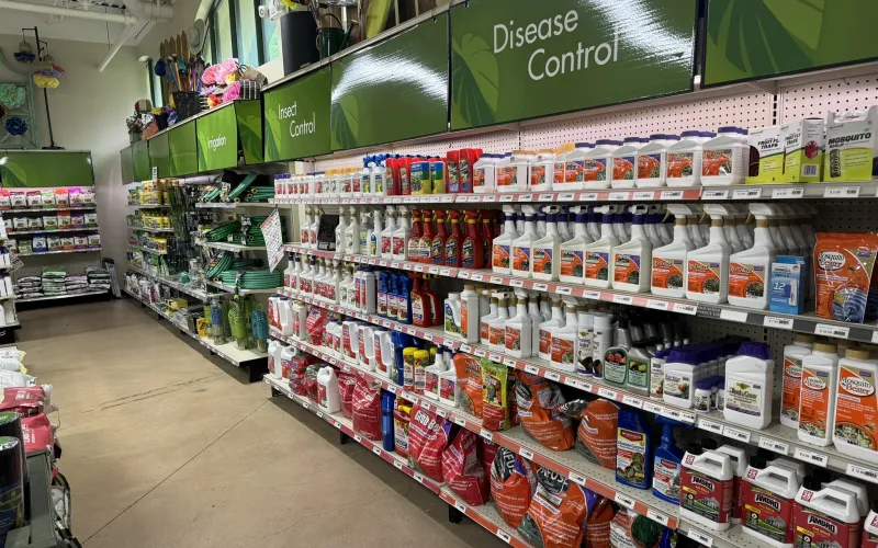 a store with shelves of products