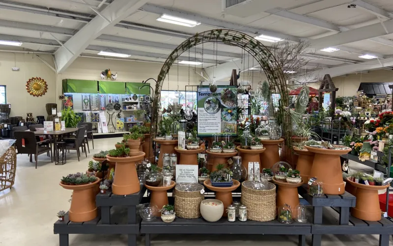 a store with many potted plants