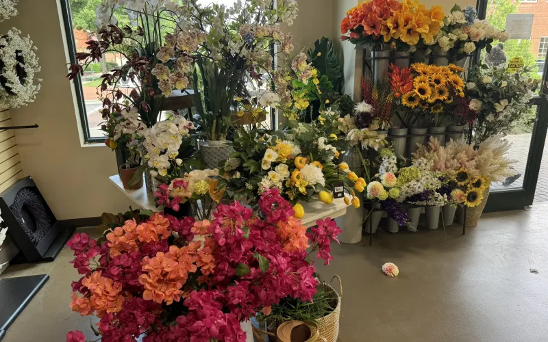 a group of flowers in a window