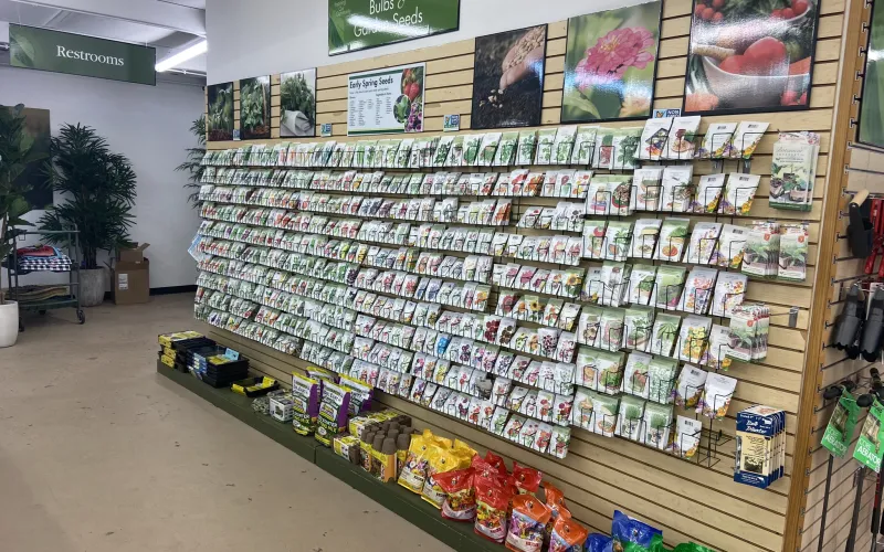 a store with a large display of items