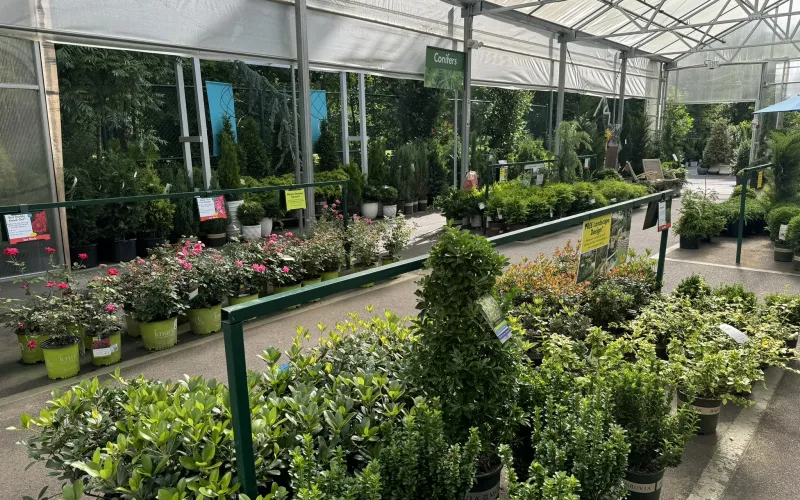 a greenhouse with plants and flowers