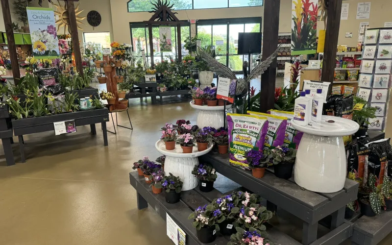a flower shop with many potted plants