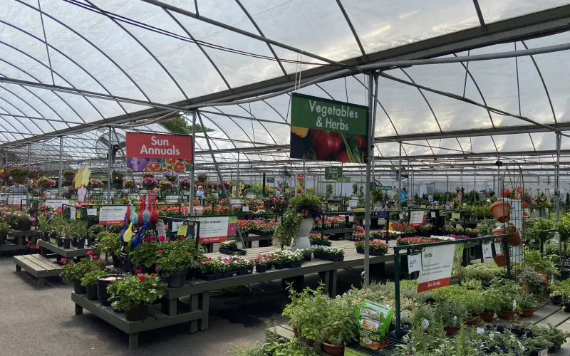 a greenhouse with plants and signs