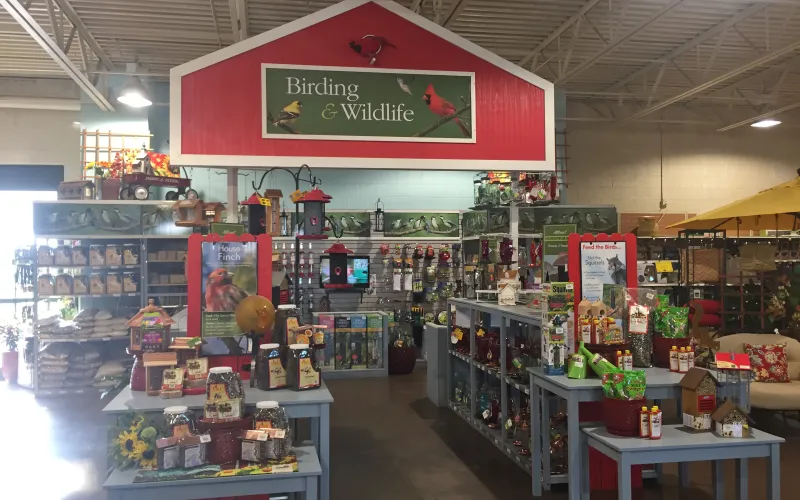a group of people in a store