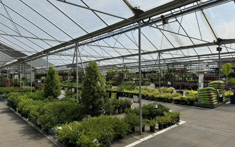a greenhouse with plants