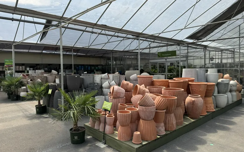 a large greenhouse with many potted plants
