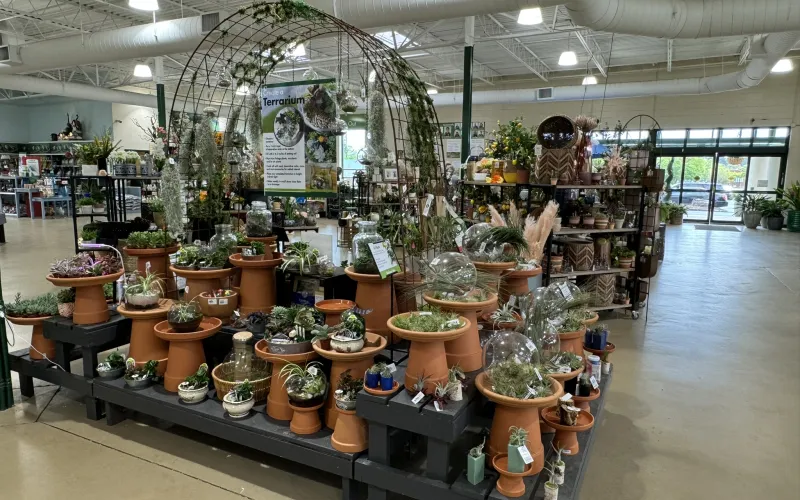 a large indoor planter shop