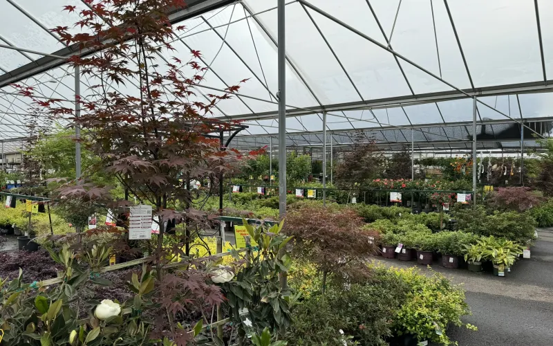 a greenhouse with plants and plants