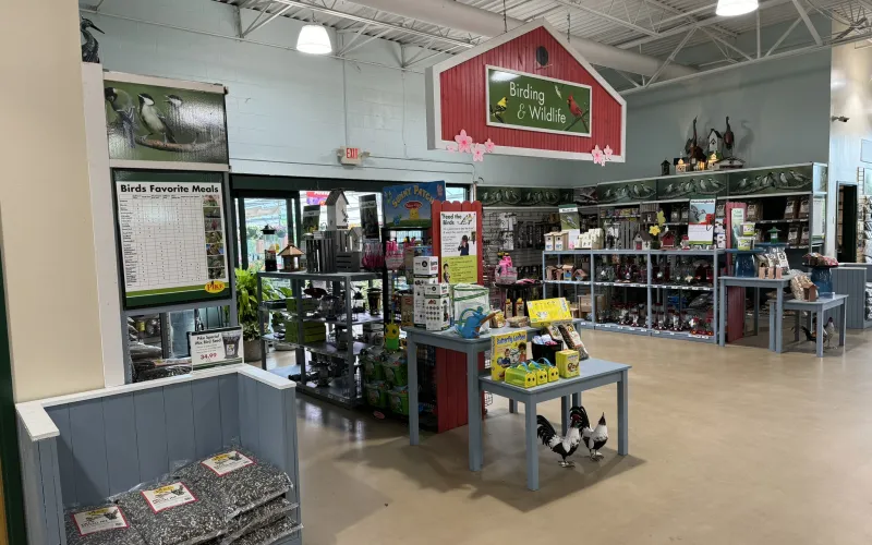 a store with a table and shelves