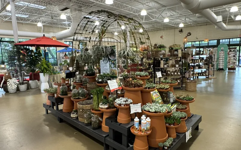 a large indoor market
