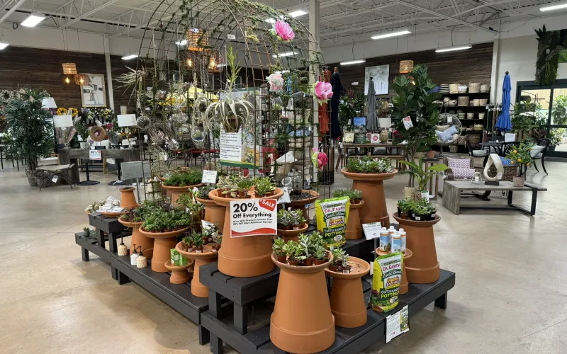 a store with many potted plants