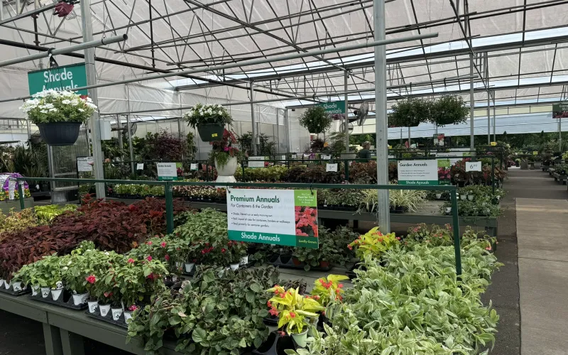 a greenhouse with plants and flowers with Gaylord Opryland Resort & Convention Center in the background
