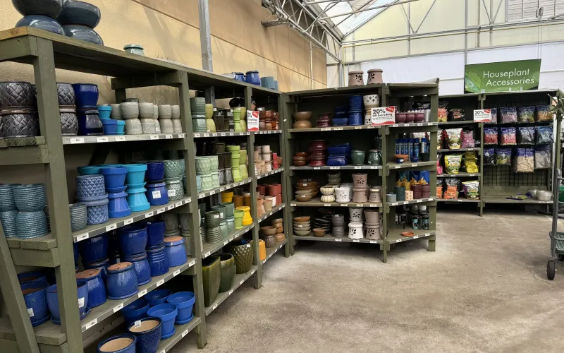a store with shelves of products