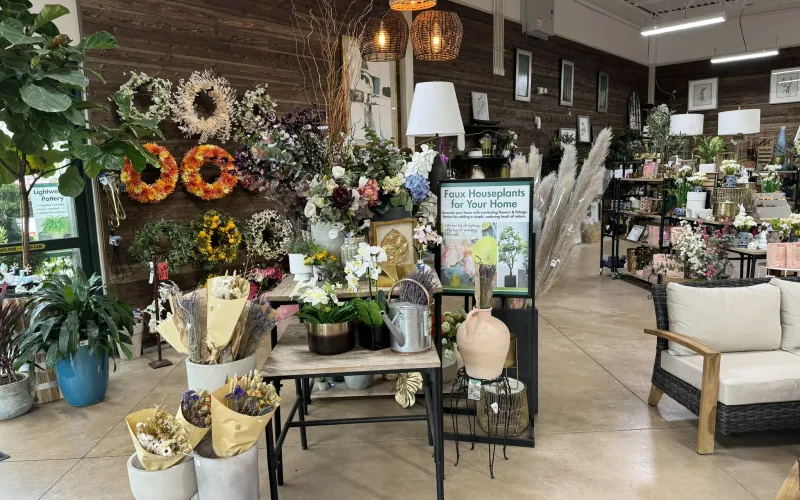 a room with many flowers and plants