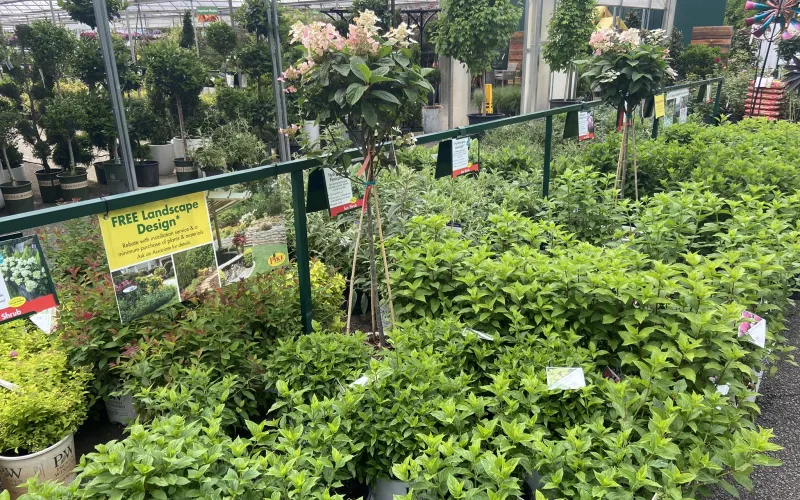 a garden with plants and signs