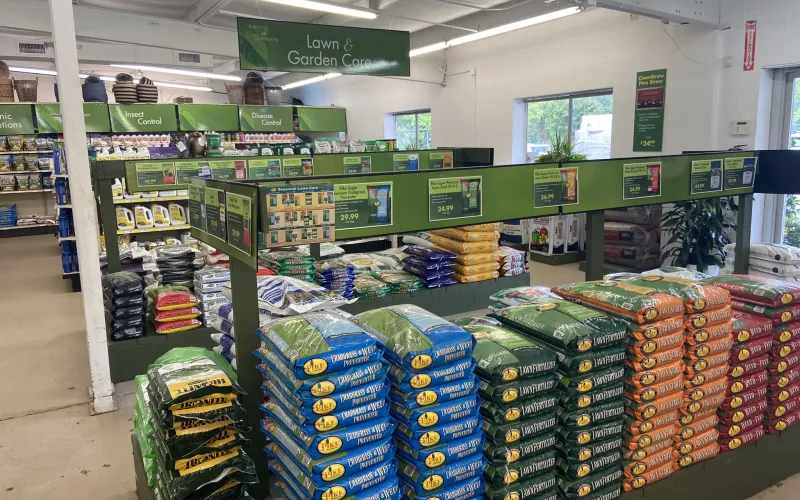 a store with shelves of goods