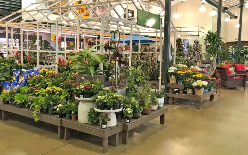 a group of people in a store